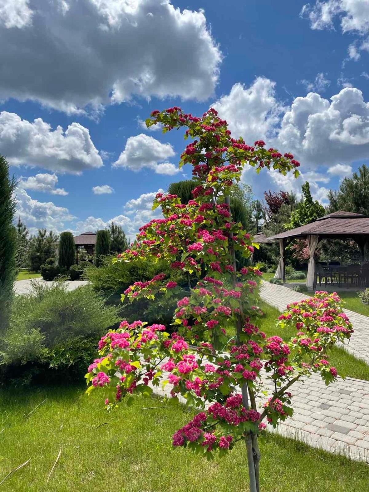 Ostrov River Club Novoselovka  Экстерьер фото